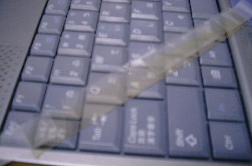 \tvX`bN̔